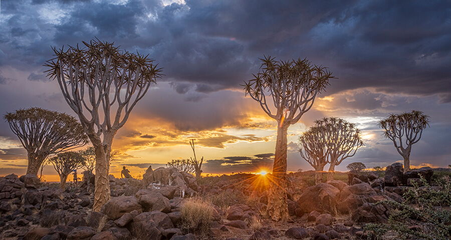 Namibia_ Der Süden Namibias und der Kgalagadi Transfrontier Park    2026_264_267_264_G_WebN#3