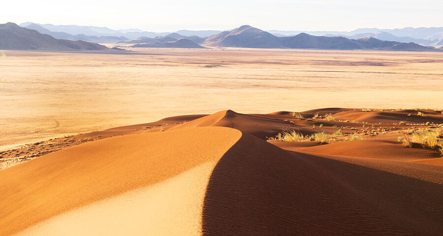 Namibia Selbstfahrer – Go Big – Namibia Intensic (Ref: 2026-264_G_SD_ GON_15T_Web#24)
