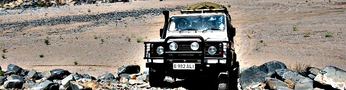 Selbstfahrer Safari in Namibia oder Botswana